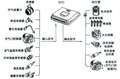 全屏显示课程 章节
